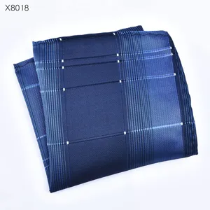 Heren blauw geruit kostuum pochet, elegant zakelijk en huwelijk zakdoek accessoire.