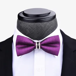 Elegante farfallino viola con strass da uomo, perfetto per matrimoni ed eventi formali.