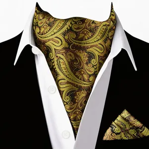 Stijlvolle luxe set van paisley ascot das en pochette voor heren formeel zakelijk pak
