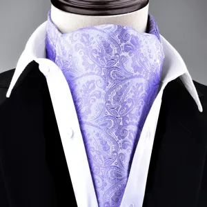 Men's purple paisley ascot cravat vintage necktie wedding formal wear suit accessory