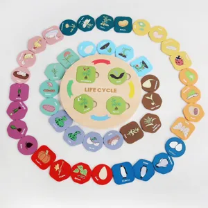 Houten educatief speelgoed dieren en planten levenscyclus puzzel cognitieve groei set