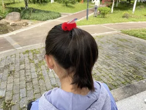 Nahaufnahme Detailansicht einer süßen roten Plüsch Haarklammer mit glänzenden Flügeln im Freien.