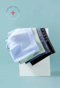 Boxer homme en coton peigné 40S respirant slips caleçons sous-vêtement confortable