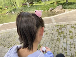 Detailansicht der flauschigen rosa Kaninchen Haarklammer mit transparenten Fluegeln im Park.