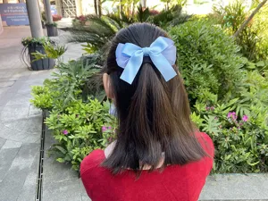 Bonita pinza de pelo con lazo azul para niñas, accesorio de cabello de malla dulce para niños.