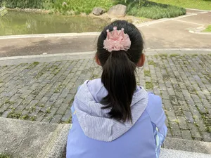Graziosa forcina per capelli con corona in tulle da bambina dolce accessorio rosa.