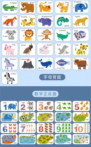 Detail view of alphabet and number educational flashcards for early childhood learning.