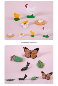 Montessori animal and insect life cycle figures set for kids early science education learning.