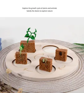 Wooden plant growth cycle toy detail showing Montessori educational nature exploration tool close-up.
