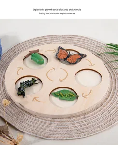 Wooden insect life cycle toy Montessori science educational puzzle for kids learning.