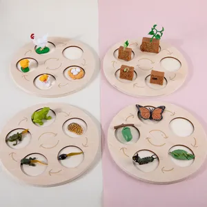 Montessori wooden life cycle toy set, educational science cognition toys for kids.