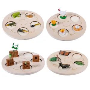 Wooden life cycle toy set Montessori science educational toy for kids animal growth