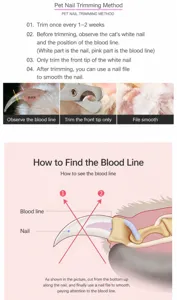 Detail view of pet nail clipper instruction guide showing safe trimming steps for cat and dogs.
