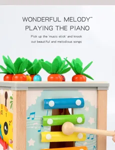 Wooden activity cube detail showing colorful xylophone and carrots for kids early learning toys.