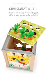 Wooden multi-functional educational toy box for kids shape matching carrot pulling game.