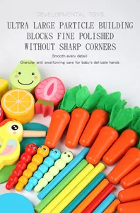 Wooden multifunctional educational toy set for kids, carrot pulling and shape matching.