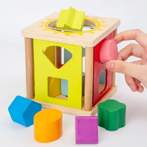 Wooden shape sorter toy educational geometric matching blocks for kids early learning