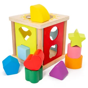 Wooden shape sorter cube toy with colorful geometric blocks for early childhood education