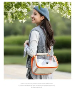 Transparent pet bird carrier bag portable outdoor travel cage with breathable mesh design.