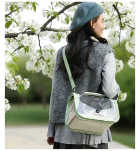 Breathable transparent pet bird carrier bag with adjustable strap for outdoor travel and walks.