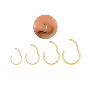 Goldfarbenes Klappsegment Nasenring Set Edelstahl Knorpel Ohrring Koerperschmuck Piercing