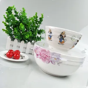 Detailansicht des Keramikschüssel-Sets mit elastischen Silikon-Frischhaltedeckeln und niedlichen Motiven.