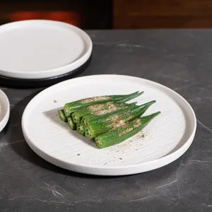 Japanese style white ceramic dinner plate with stone texture for steak, salad, and breakfast.