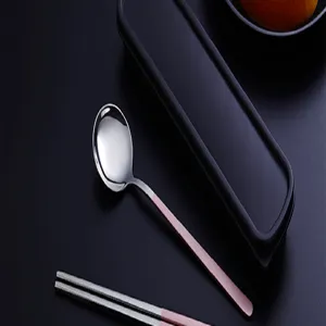 Ensemble de couverts portables en acier inoxydable avec boîte, cuillère et baguettes.