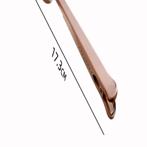 Stainless steel coffee scoop with bag clip, 17.3cm long handle measuring spoon for kitchen baking.