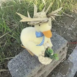 Ornement pour Animaux de Compagnie en Nid d'Oiseau et Chapeau de Paille Tissée à Main Matériau Végétal Naturel Style Pastoral Décoration de Salon