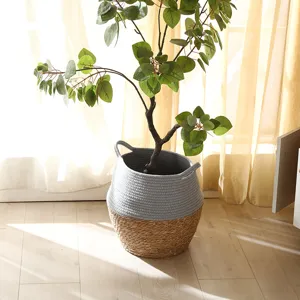Gedetailleerd overzicht van een geweven plantenmand met handvatten, ideaal voor thuis en tuin.
