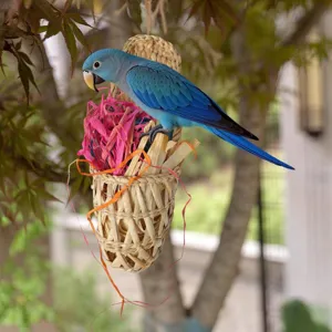 Detailed view of handmade woven straw parrot toy with colorful shreds and blue bird model.