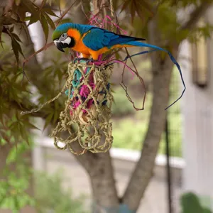 Handmade woven grass bird toy with colorful artificial parrot for pet birds cage decor hanging.