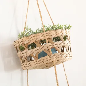 Vue détaillée d'un panier suspendu tissé à la main avec de jolies plantes vertes murales.