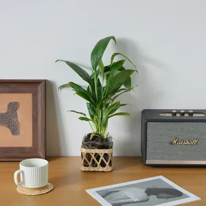 Handmade woven glass vase retro hydroponic plant container for home decor tabletop arrangement.