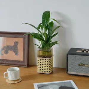 Handmade rattan glass vase detail shot, vintage woven hydroponic plant container home decor.