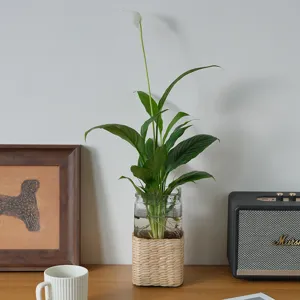 Handmade woven glass vase detail shot showing natural rattan texture and hydroponic plant setup.