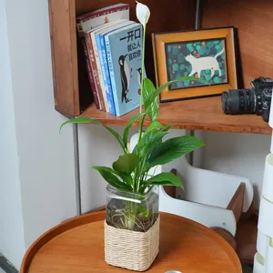 Detail view of the handmade woven rattan glass vase showcasing natural texture and green plant.