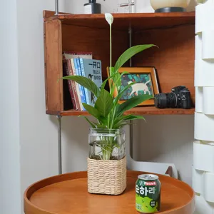 Detailed view of the handcrafted woven glass vase showcasing delicate rattan texture and plant.