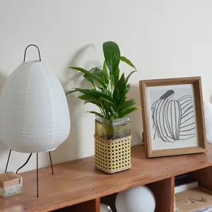 Handmade rattan wrapped glass vase for hydroponic plants and retro home decor aesthetic.