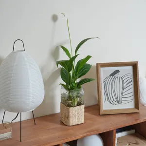 Handmade rattan woven glass vase for hydroponic plants, retro decorative bottle for home decor.
