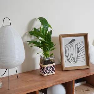 Handmade woven glass vase with pink rope detail, perfect for hydroponic plants and home decor.