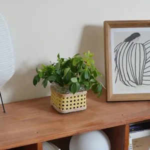 Handmade rattan glass vase retro woven decorative flower container for indoor plant hydroponics