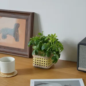 Handmade woven rattan glass vase hydroponic plant container retro desktop decor detail