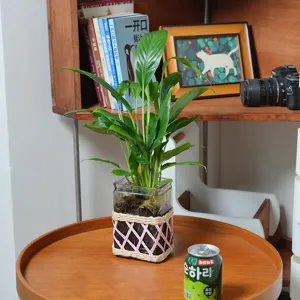 Handmade woven glass vase detail, retro decorative wicker plant container for desktop