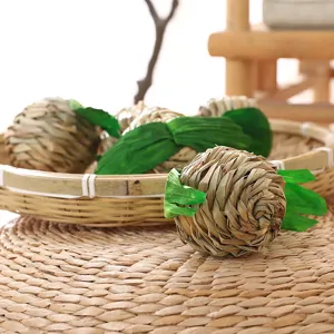 Close-up detail of woven grass apple pet chewing toy showcasing natural texture and green husk.