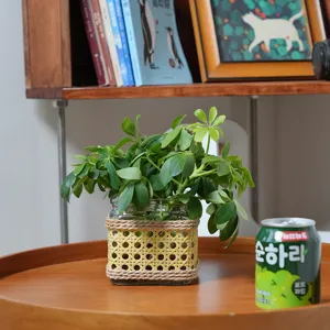 Handmade rattan glass vase with green plant hydroponic container for retro home decor.