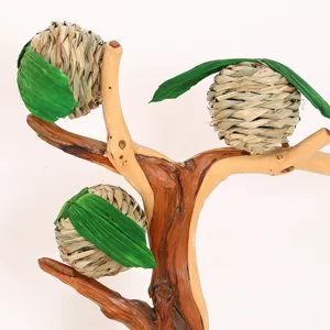 Handcrafted grass woven apple pet toy with natural wood branch stand for small animals.