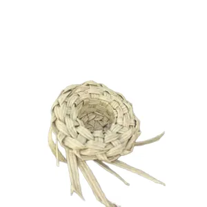 Chapeau miniature tissé à la paille fait main nid d'oiseau accessoire animal décoration maison