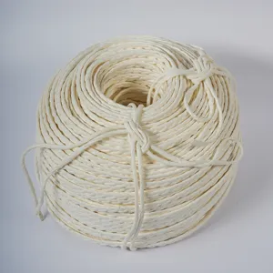 Duurzaam gedraaid papierkoord voor doe-het-zelf knutselen en kattenkrabpaal vervanging.